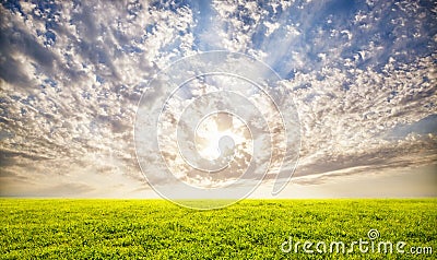 Green grass and sunset sky background