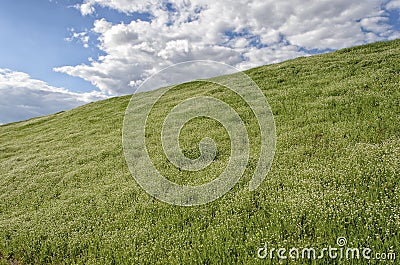 Green hill