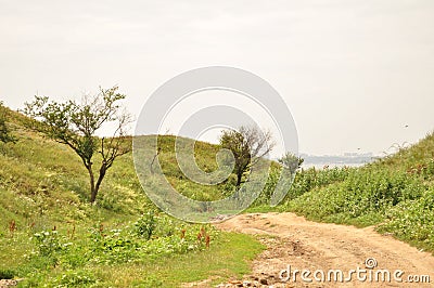 Green hills road to the sea