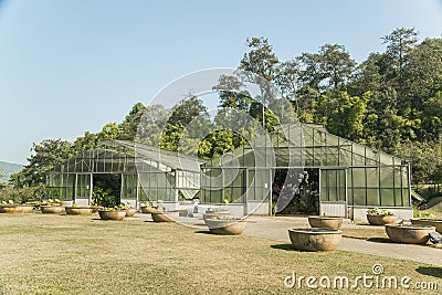 Green house on plant field