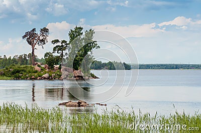 Green island in the Gulf