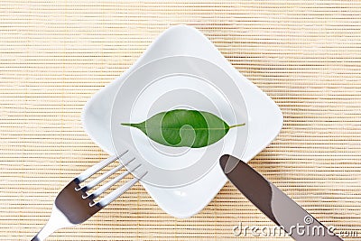 Green leaf on a plate as vegetarian diet