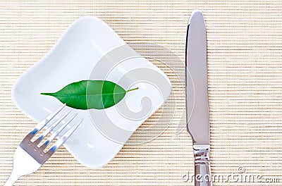 Green leaf on a plate as vegetarian diet