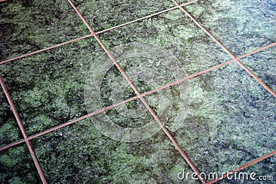 Green marble tiles