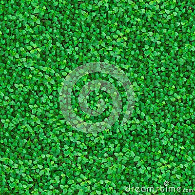 Green Meadow Grass. Seamless Texture.