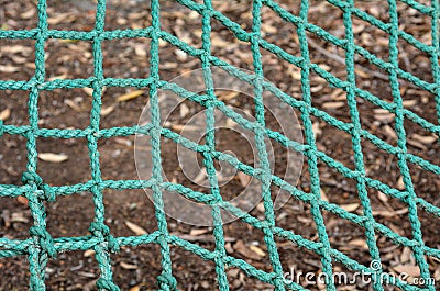 Green net