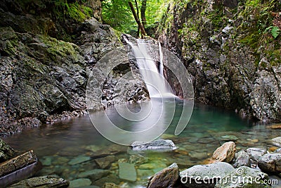 The Green Pool