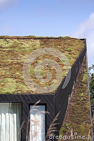 Green roof