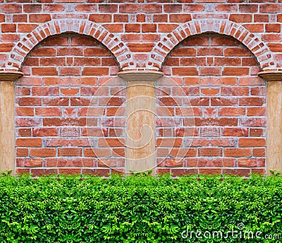 Green Tree with brick wall background in park