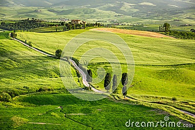 Green valley at sunset in Tuscany
