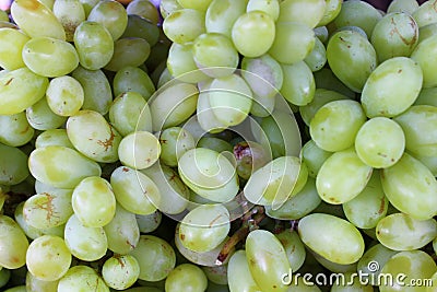 Green-white ripe grapes ready to be eaten