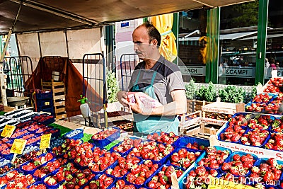 Greengrocer at the old Fish Market by the harbor in Hamburg, Germany