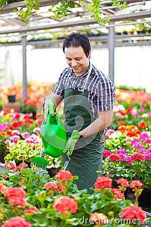 Greenhouse worker watering plants