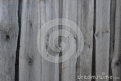 Grey wooden fence, close-up