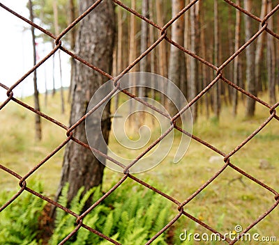 Grid fence