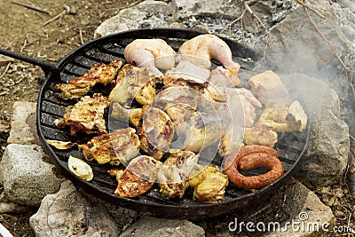 Grill over open fire with meat and chicken