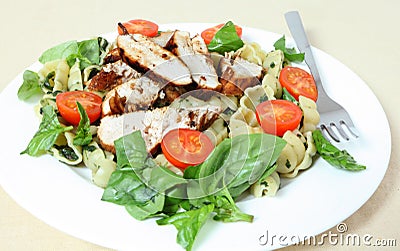 Grilled chicken and pasta salad side view