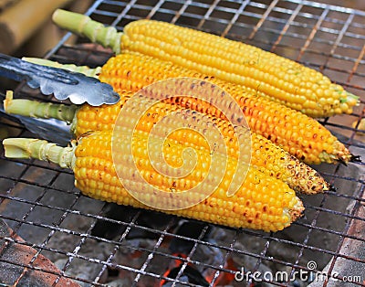 Grilled corns