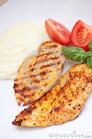 Grilled turkey breast. close up