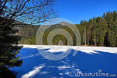 Grosser Arber See, Winter landscape around Bayerisch Eisenstein, ski resort, Bohemian Forest (Šumava), Germany