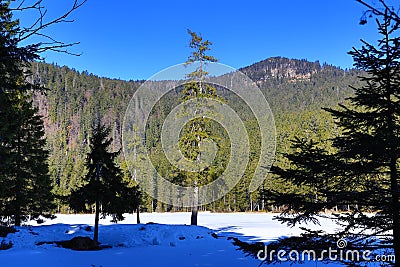 Grosser Arber See, Winter landscape around Bayerisch Eisenstein, ski resort, Bohemian Forest (Šumava), Germany