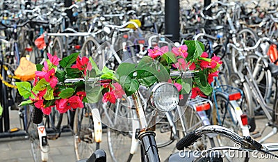 Group of bicycles