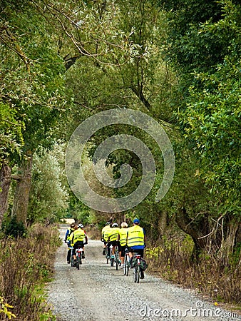 Group of cyclists on road