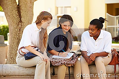 Group Of Female High School Students Working Outdoors