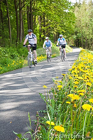 Group of people bicycling