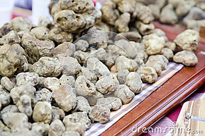 Group of white truffles from Alba, italy