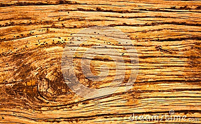 Grunge Rotten Wood Background