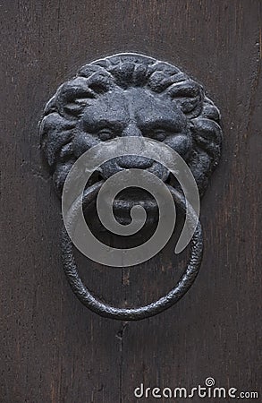 Grungy lion-head knocker door