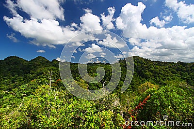 Guajataca Forest Reserve - Puerto Rico