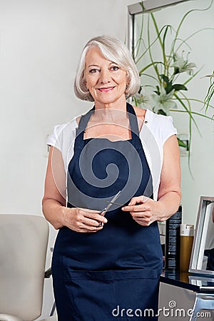 Hairdresser Holding Scissors And Comb At Salon