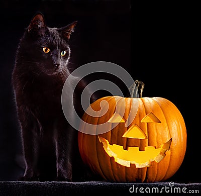 Halloween pumpkin head and black cat