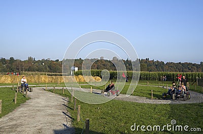 Halloween pumpkin patch farm activity