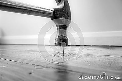 Hammer nail floorboard B