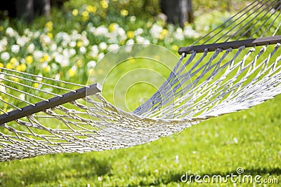 Hammock out on sunny yard