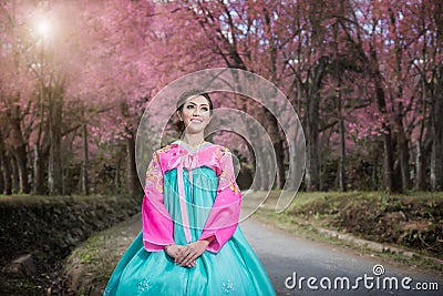 Hanbok: the traditional Korean dress and beautiful Asian girl wi