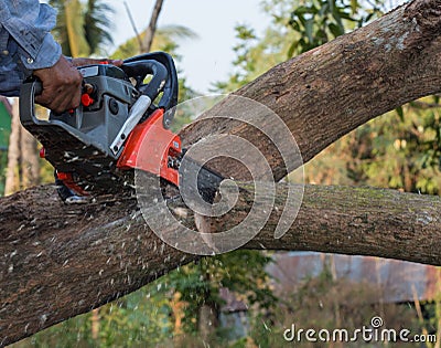 Hand with chainsaw cutting the tree