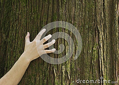 Hand clawing at tree trunk