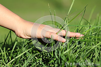 Hand on grass