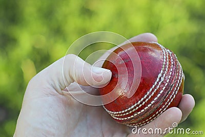 Hand Holding Cricket Ball