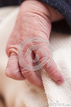 Hand of new born baby in close up
