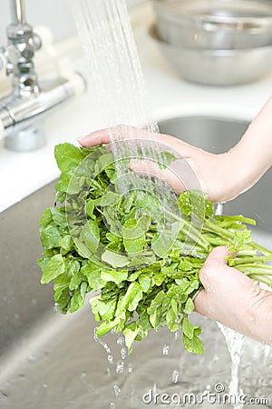 Hand of woman washing vegetable