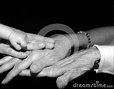 Hands of four generations