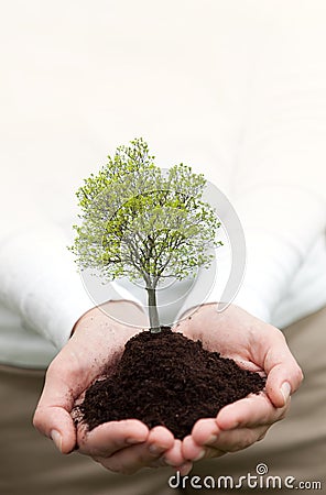 Hands holding a tree