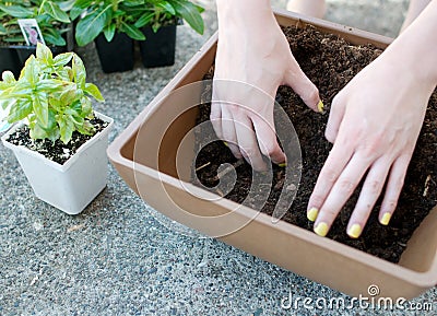 Hands mix up planting soil in square planter