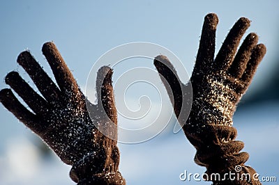 Hands with woolen gloves