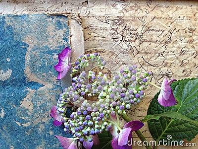 Handwriting from 18th century with flowers and book